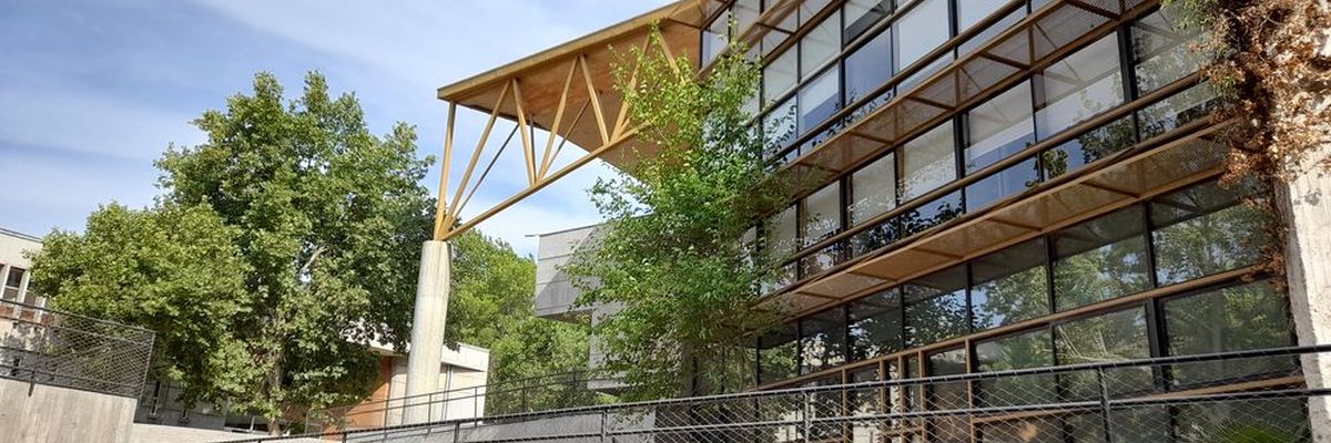 Universidad Católica