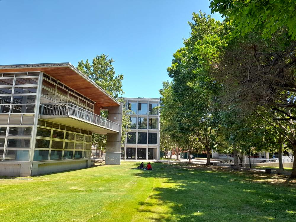 Universidad Católica